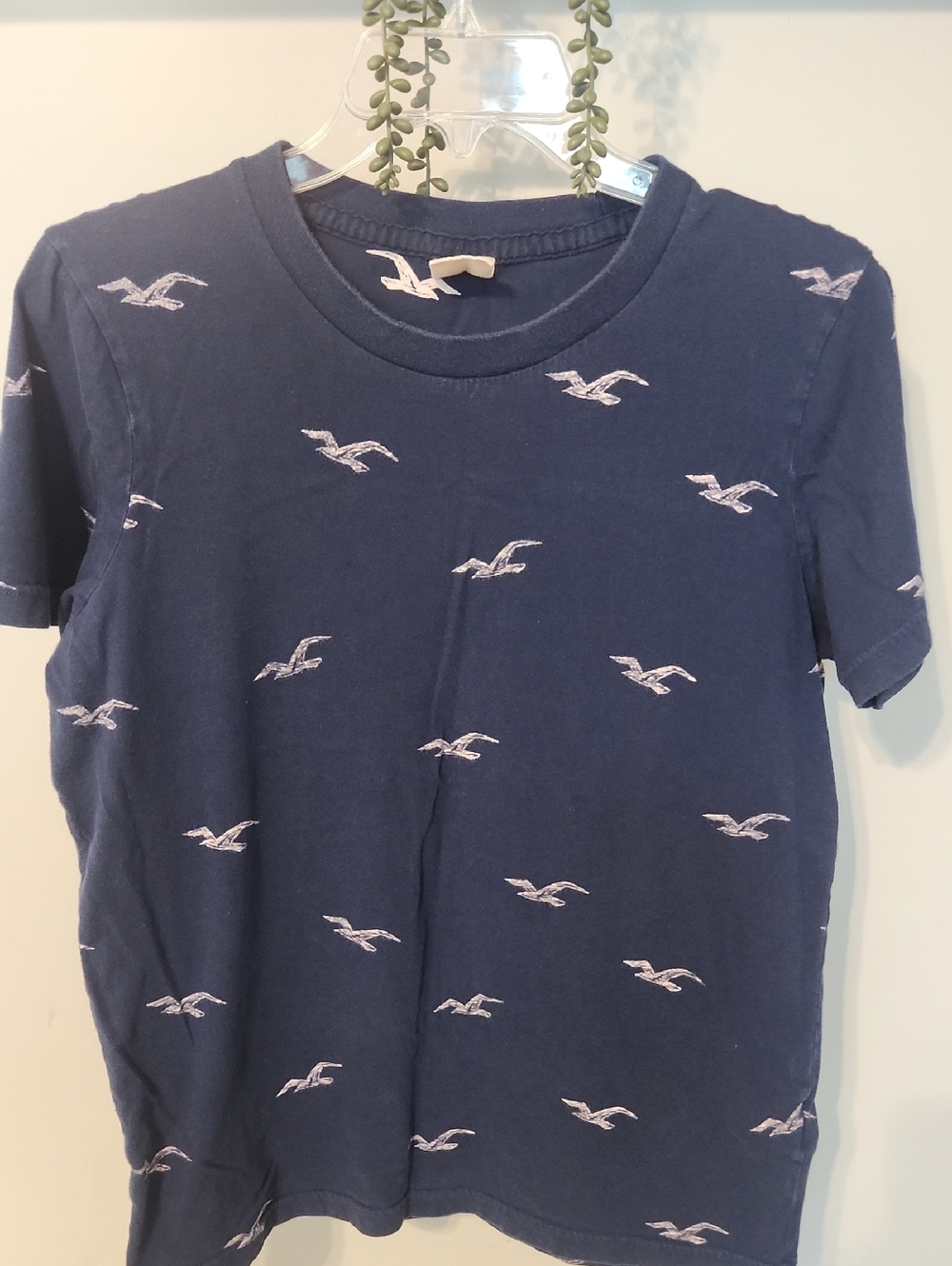 Hollister Navy Short Sleeve Tee with White Seagull Logo, Large.